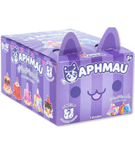 Load image into Gallery viewer, Aphmau Carnival Treats mystery plush box with cat-themed design.
