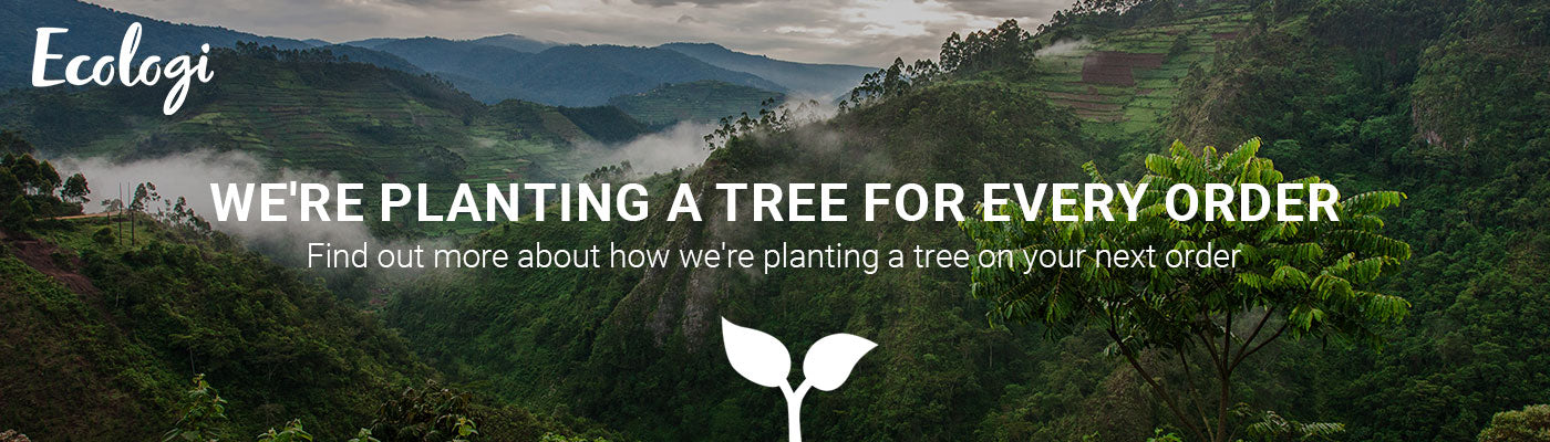 Teaming up with Ecologi