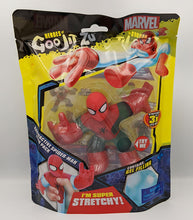 Load image into Gallery viewer, Heroes Of Goo Jit Zu - Radioactive Spider Man
