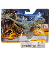 Load image into Gallery viewer, Jurassic World Dominion Ferocious Pack - Velociraptor ‘Blue
